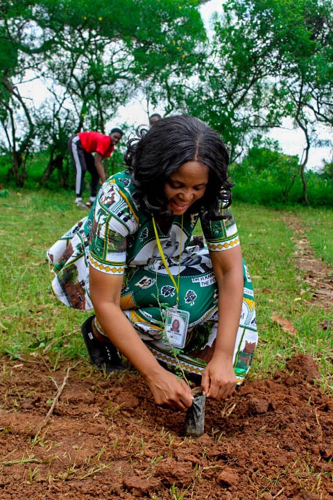 Kamuzu Academy Annual Tree Planting exercise 2025 - Image 12